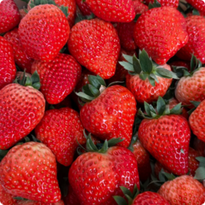 红颜草莓（10斤篓装，单果12-17g）